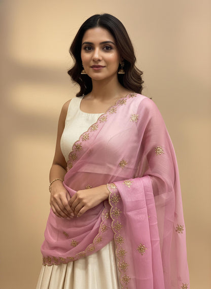 Beautiful Embroidery work & Jimmy choo Dupatta for women | Only Dupatta Jimmy Choo Dup