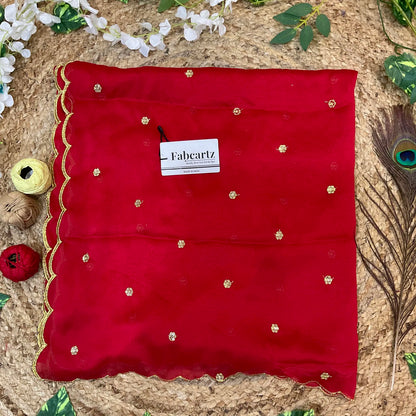 BittuDup Beautiful Embroidery work Rangoli Dupatta for women | Only Dupatta