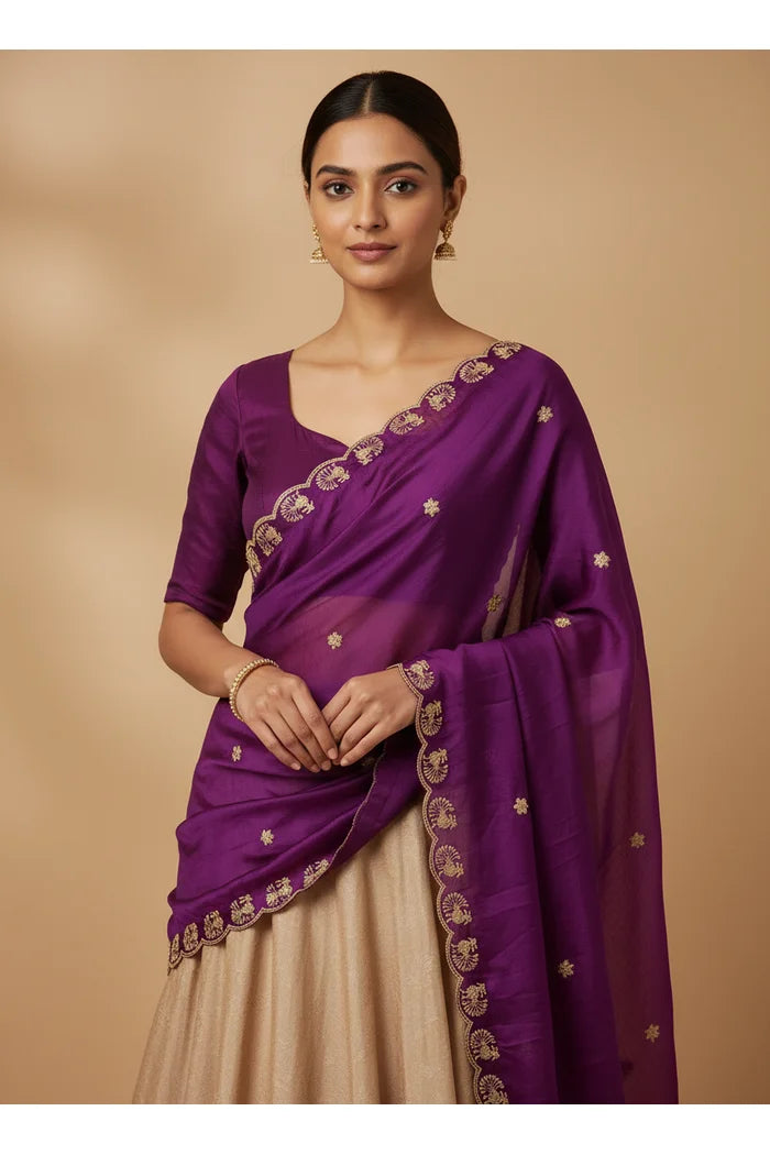 Beautiful Embroidery Rangoli Dupatta for women | Only Dupatta Chote Morwali Dup