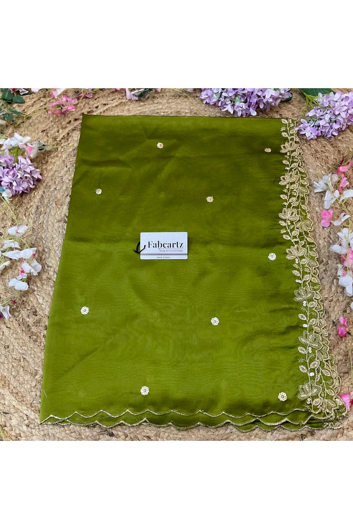 Beautiful Embroidery work Rangoli Dupatta for women | Only Dupatta BiliPatra Dup