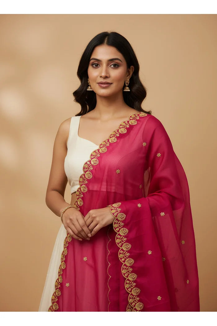 Beautiful Embroidery work Rangoli Dupatta for women | Only Dupatta Starwars Dup