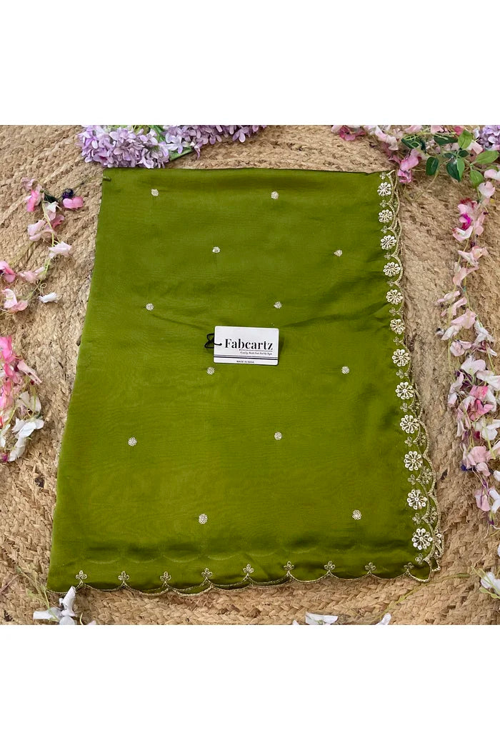 Beautiful Hand work and Beads work Rangoli Dupatta for women | Only Dupatta Dharani Dup