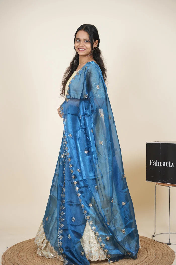 South Indian Festival Traditional Lehenga Choli Shizuka