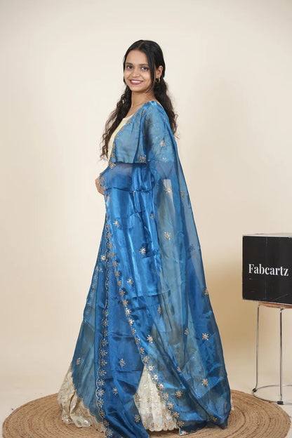 South Indian Festival Traditional Lehenga Choli Shizuka