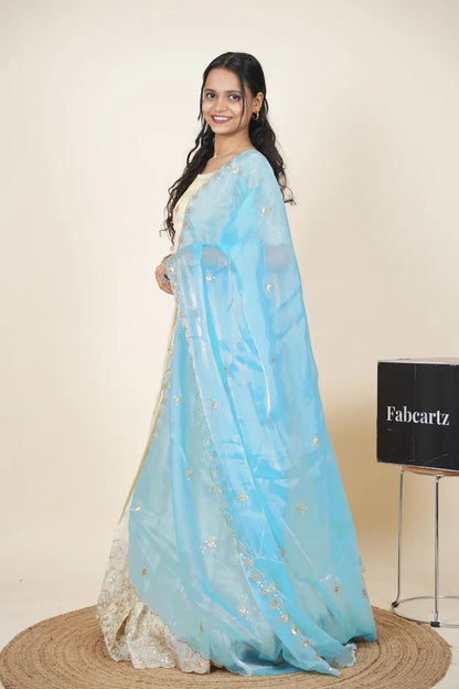 South Indian Festival Traditional Lehenga Choli Shizuka