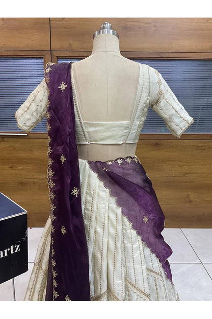 దక్షిణ భారత పండుగ సాంప్రదాయ హాఫ్ చీర (ఛవి) 