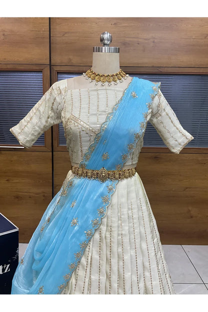 దక్షిణ భారత పండుగ సాంప్రదాయ హాఫ్ చీర (ఛవి) 