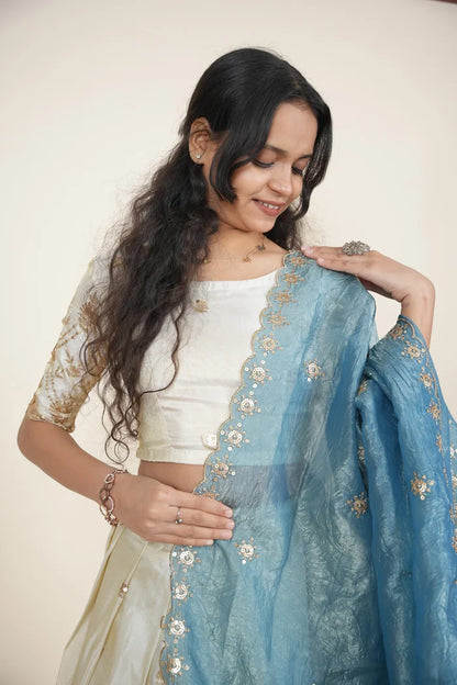 దక్షిణ భారత పండుగ సాంప్రదాయ హాఫ్ చీర (ఛవి) 