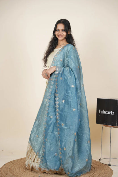 దక్షిణ భారత పండుగ సాంప్రదాయ హాఫ్ చీర (ఛవి) 