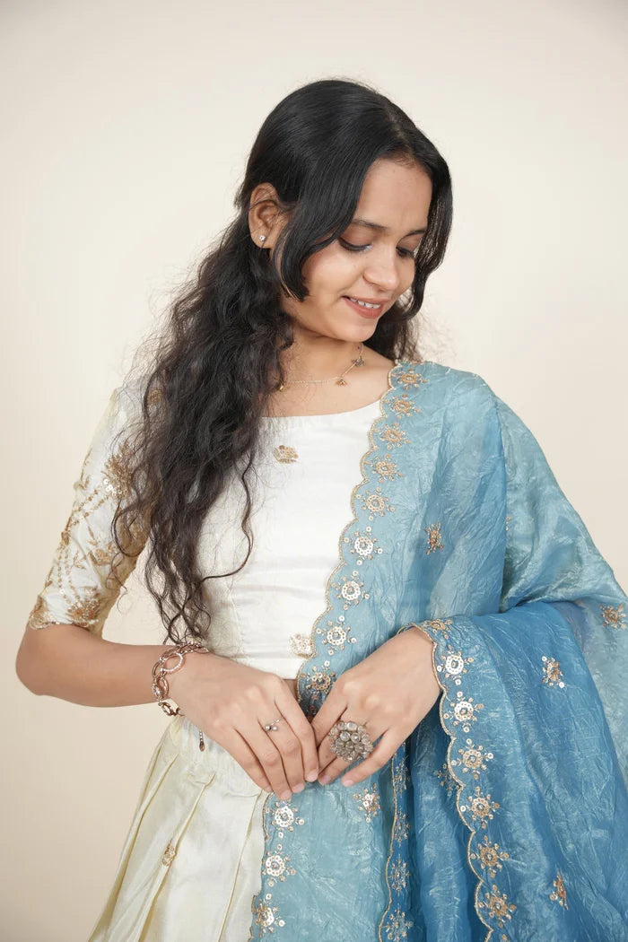 దక్షిణ భారత పండుగ సాంప్రదాయ హాఫ్ చీర (ఛవి) 