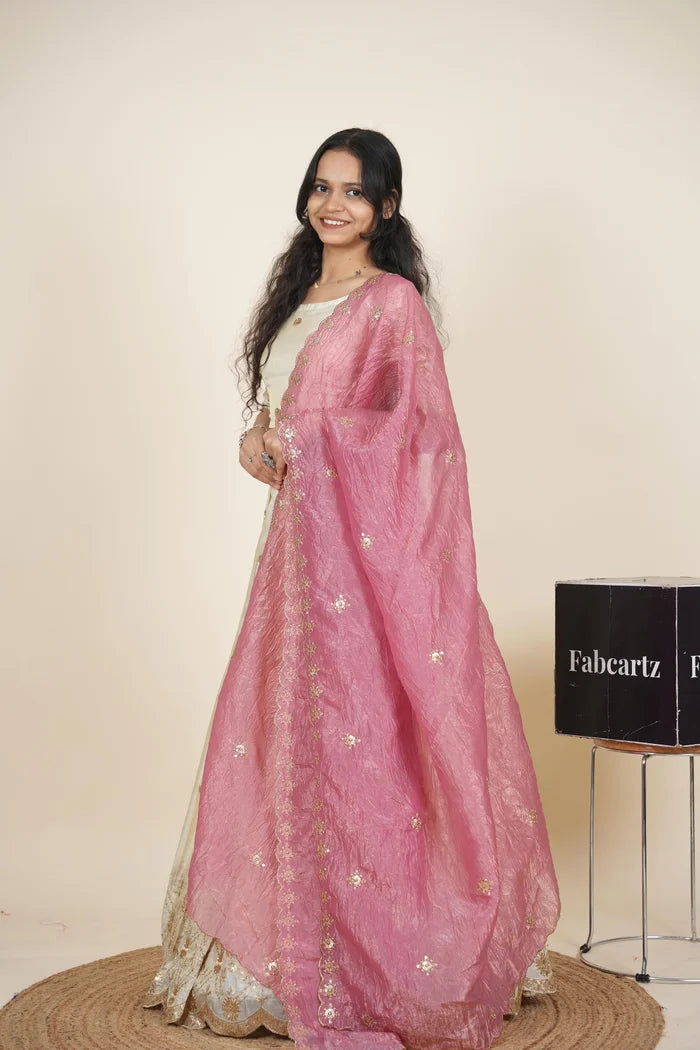 దక్షిణ భారత పండుగ సాంప్రదాయ హాఫ్ చీర (ఛవి) 