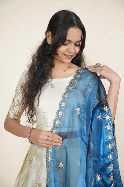 దక్షిణ భారత పండుగ సాంప్రదాయ హాఫ్ చీర (ఛవి) 