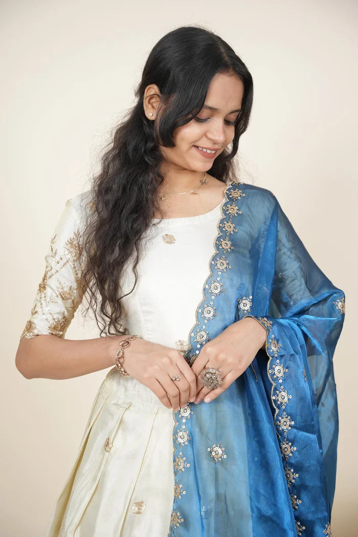 దక్షిణ భారత పండుగ సాంప్రదాయ హాఫ్ చీర (ఛవి) 