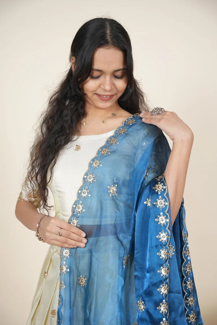 దక్షిణ భారత పండుగ సాంప్రదాయ హాఫ్ చీర (ఛవి) 