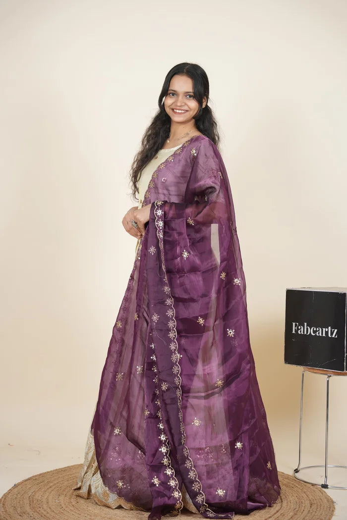 దక్షిణ భారత పండుగ సాంప్రదాయ హాఫ్ చీర (ఛవి) 