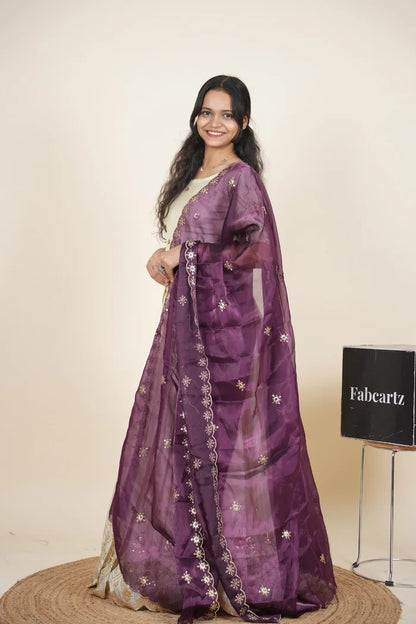 దక్షిణ భారత పండుగ సాంప్రదాయ హాఫ్ చీర (ఛవి) 