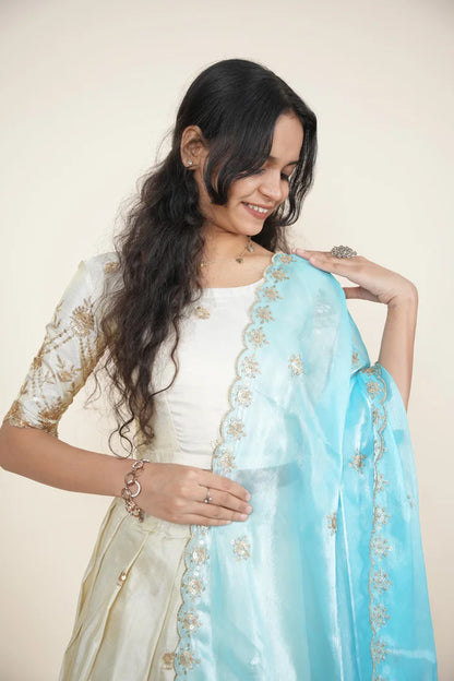 దక్షిణ భారత పండుగ సాంప్రదాయ హాఫ్ చీర (ఛవి) 