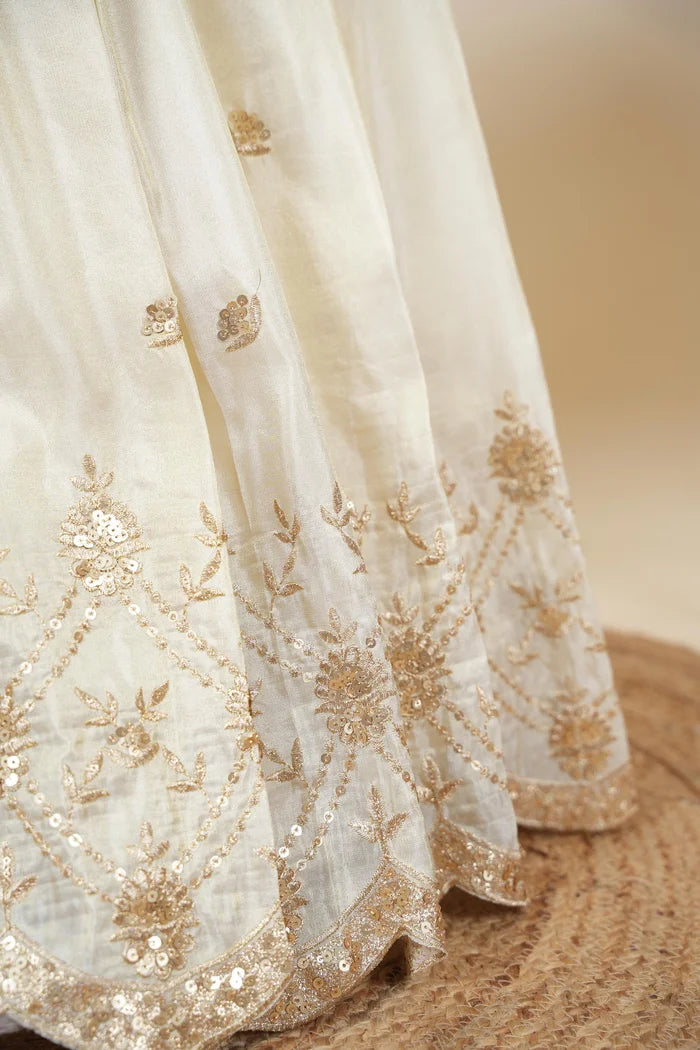 దక్షిణ భారత పండుగ సాంప్రదాయ హాఫ్ చీర (ఛవి) 