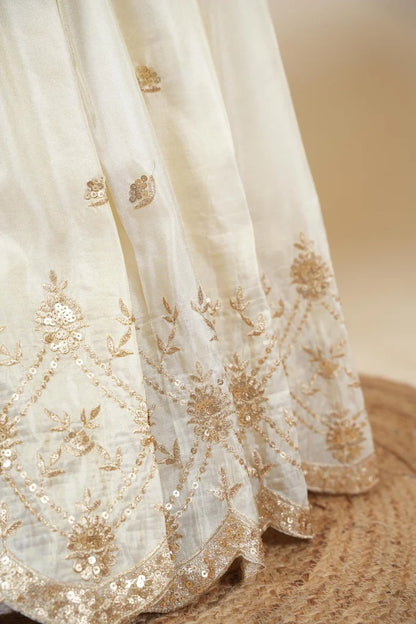 దక్షిణ భారత పండుగ సాంప్రదాయ హాఫ్ చీర (ఛవి) 