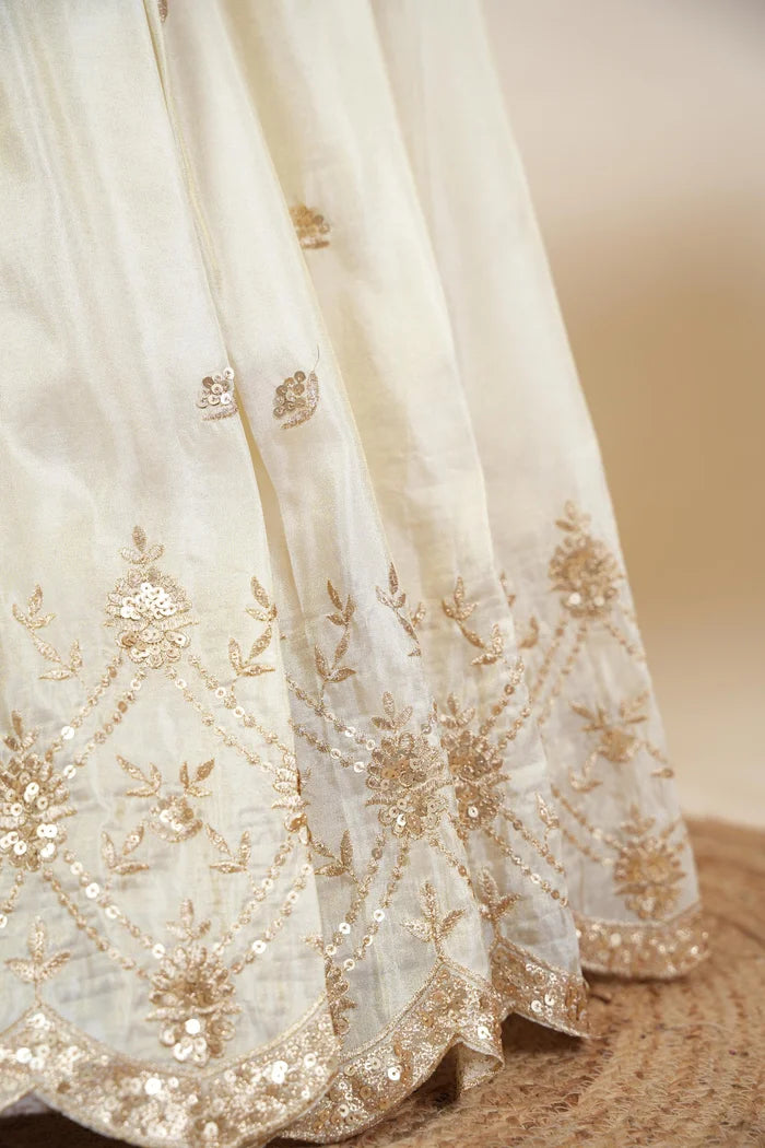 దక్షిణ భారత పండుగ సాంప్రదాయ హాఫ్ చీర (ఛవి) 