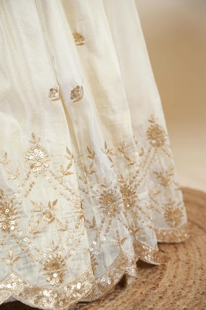 దక్షిణ భారత పండుగ సాంప్రదాయ హాఫ్ చీర (ఛవి) 