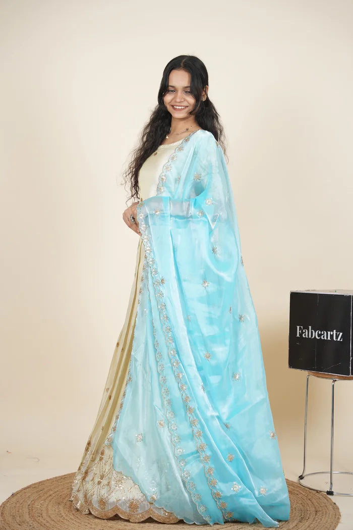 దక్షిణ భారత పండుగ సాంప్రదాయ హాఫ్ చీర (ఛవి) 