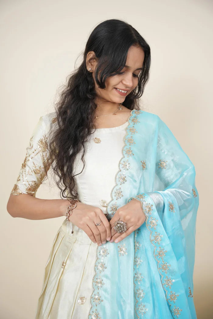 దక్షిణ భారత పండుగ సాంప్రదాయ హాఫ్ చీర (ఛవి) 