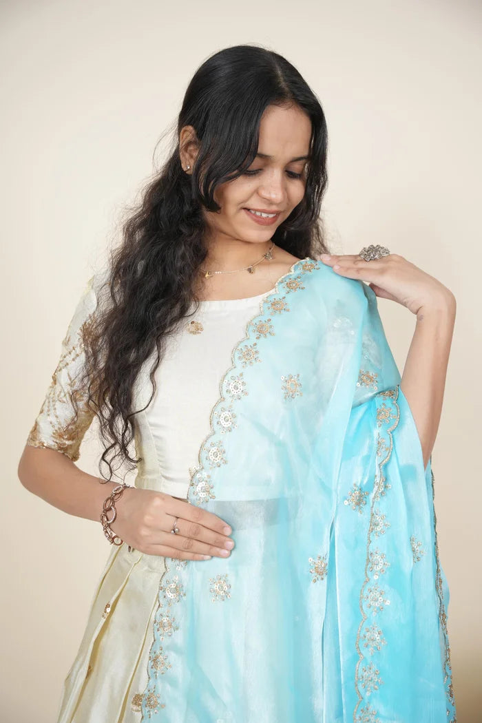 దక్షిణ భారత పండుగ సాంప్రదాయ హాఫ్ చీర (ఛవి) 