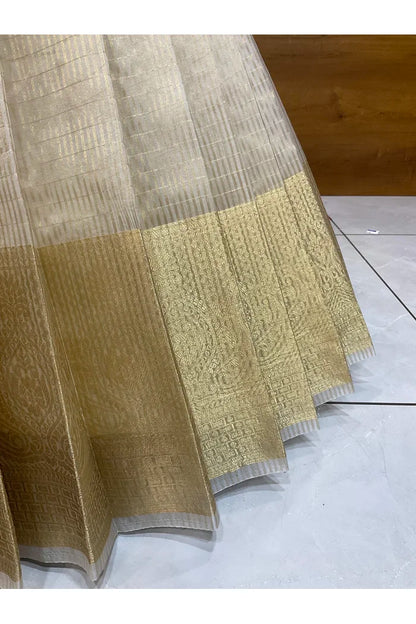 దక్షిణ భారత పండుగ సాంప్రదాయ హాఫ్ చీర (ఛవి) 