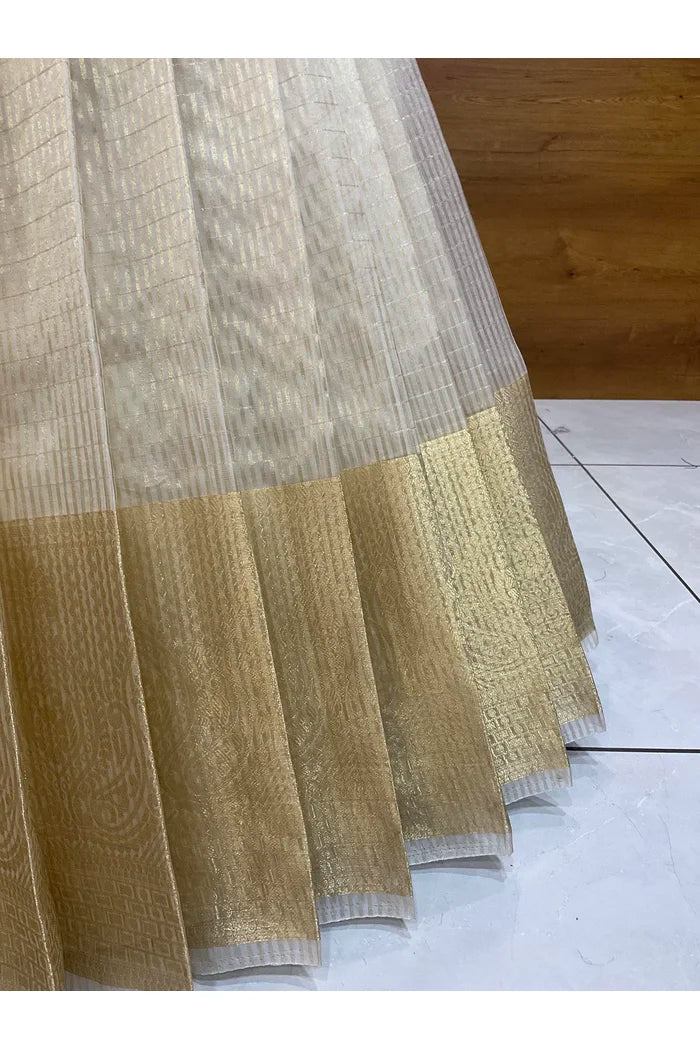 దక్షిణ భారత పండుగ సాంప్రదాయ హాఫ్ చీర (ఛవి) 