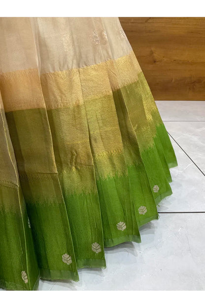 దక్షిణ భారత పండుగ సాంప్రదాయ హాఫ్ చీర (ఛవి) 