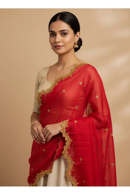 Beautiful Embroidery work Rangoli Dupatta for women | Only Dupatta LineShower Dup